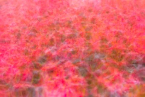 Blur abstract red background Stock Illustration