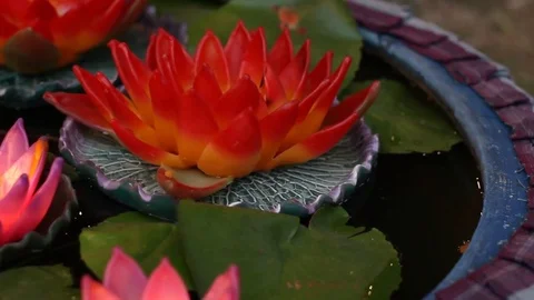 Blur background anonymous crowd. Stock Footage 72563754