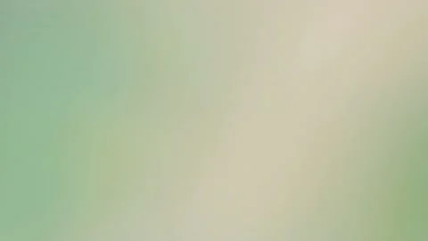 Blur background Stock Footage 170636259