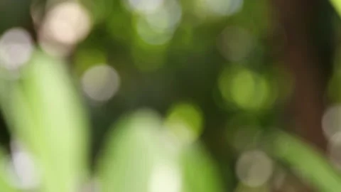 Blur background Stock Footage 200722630