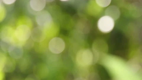 Blur background Stock Footage 200722737