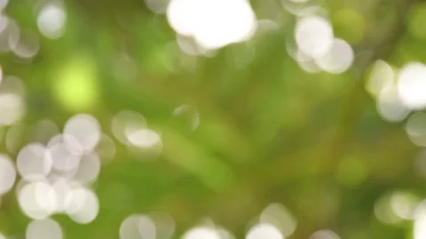 Blur background Stock Footage 200722741