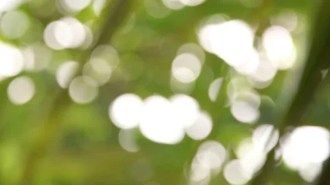Blur background Stock Footage 200722755