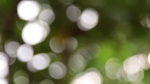 Blur background Video stock 200722794