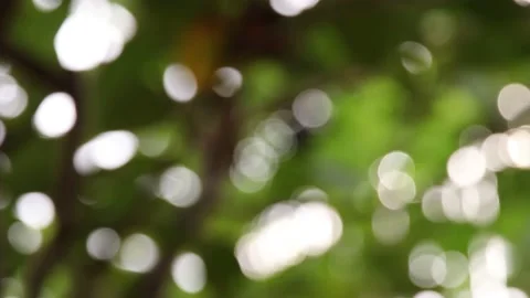 Blur background Stock Footage 200722819