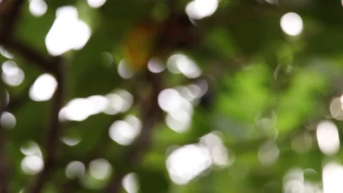 Blur background Stock Footage 200722832