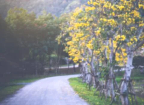 Blur background of garden Stock Photos