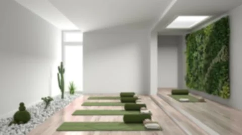 Blur background interior design: empty yoga studio, open space with mats and  Stock Illustration