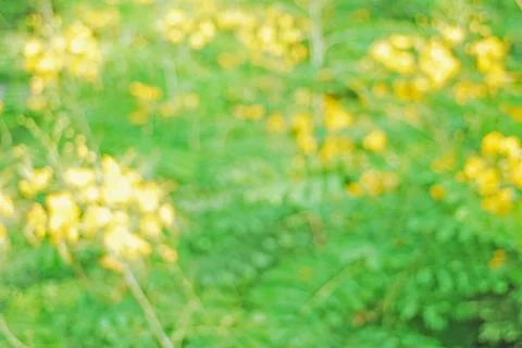 Blur background Stock Photos