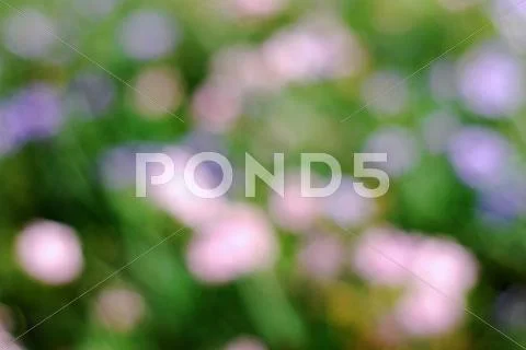 The blur background Stock Photos