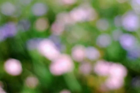 The blur background Stock Photos