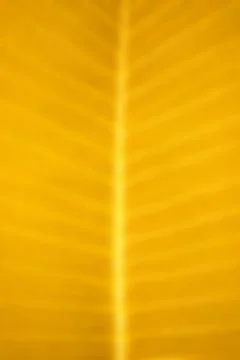 Blur background Stock Photos