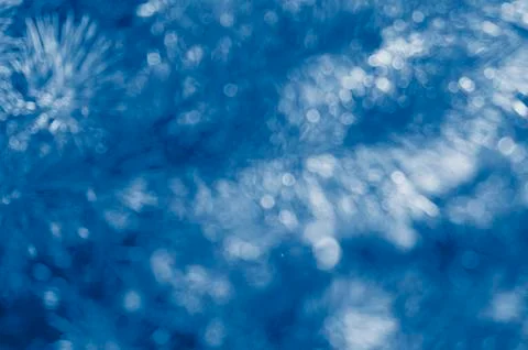 Blur background scene of pine branches. .Abstract green bokeh out of focus ba Foto stock