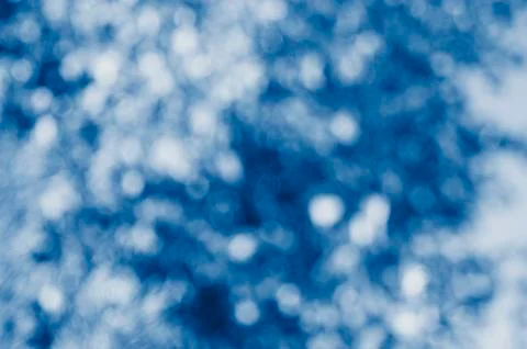 Blur background scene of pine branches. .Abstract green bokeh out of focus ba Stock Photos