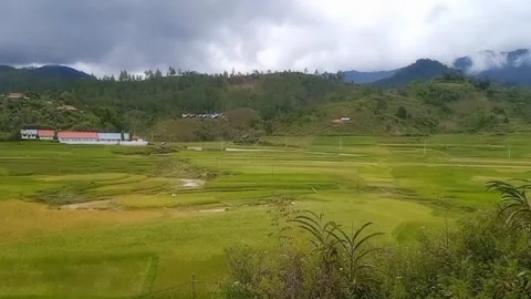 Blur: Beautiful natural rice fields video Video stock 242632247