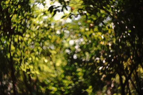 Blur bokeh background Stock Photos