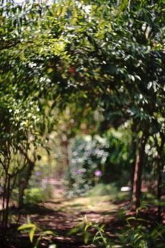 Blur bokeh background Stock Photos