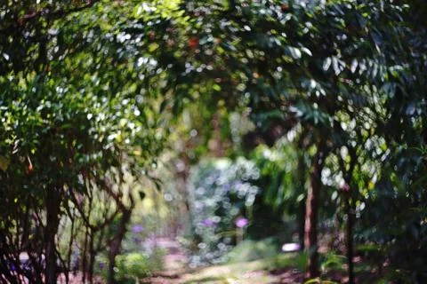 Blur bokeh background Stock Photos