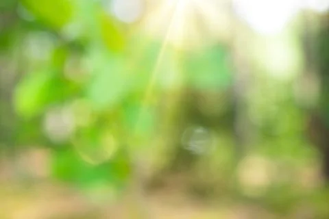 Blur bokeh background Stock Photos