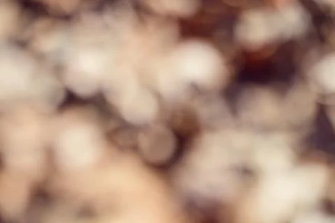 Blur Bokeh Background Stock Photos