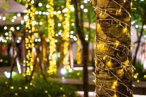 Blur - bokeh Decorative outdoor string lights hanging on tree in the garden Photos