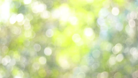 Blur bokeh light background . Stock Footage 148894689