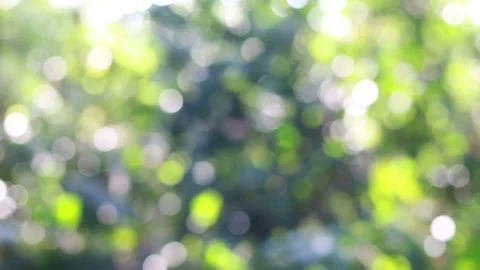 Blur bokeh light background Stock Footage 148894690