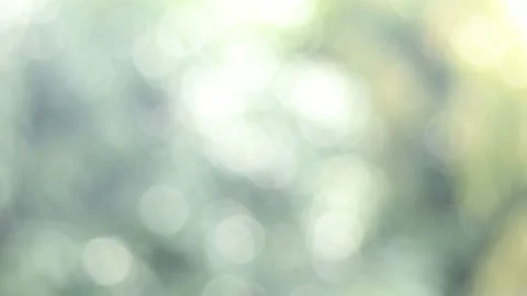 Blur bokeh light background . Stock Footage 165327597