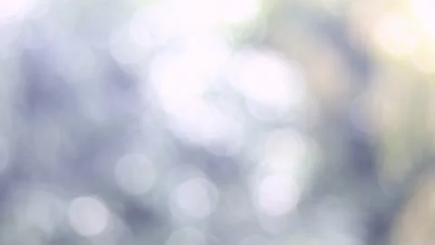 Blur bokeh light background . Stock Footage 165327600