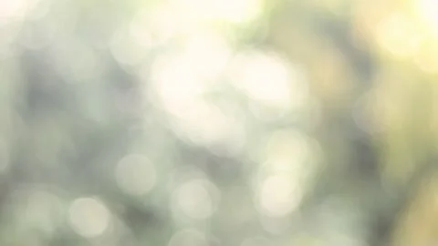 Blur bokeh light background . Stock Footage 165327601