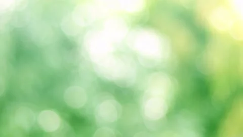 Blur bokeh light background . Stock Footage 165327604