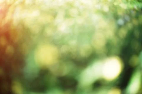Blur bokeh macro background Stock Photos