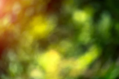 Blur bokeh macro background Stock Photos