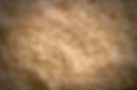 Blur brown background Stock Photos