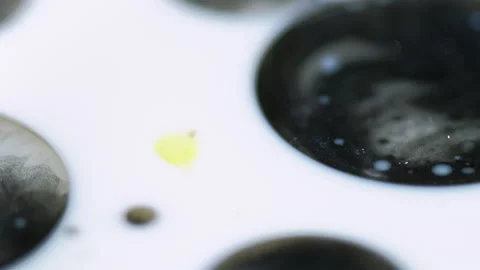 Blur bubbles glitter blob black white acrylic ink Stock Footage 281134112