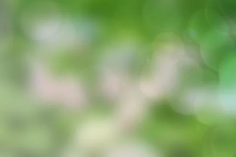 Blur circle bokeh green leaf background. Blurry yellow leaves rays light fl.. Foto stock