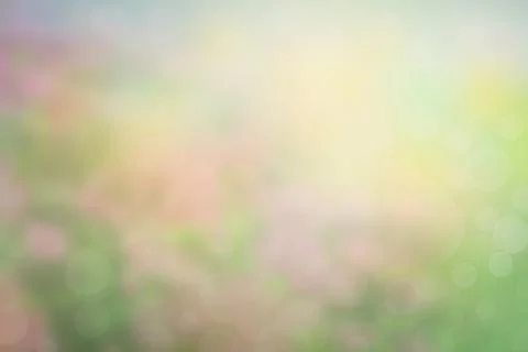 Blur circle bokeh green leaf background. Blurry yellow leaves rays light fl.. Foto stock