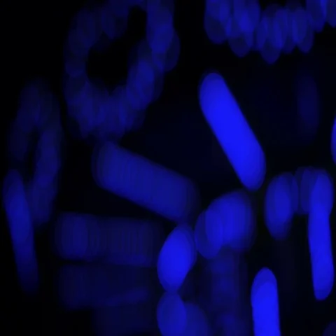 Blur circle color carousel lights Stock Footage 69284813