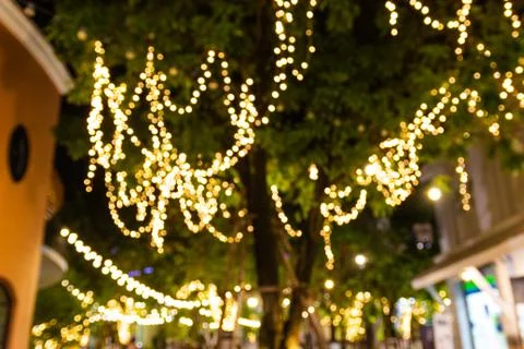 Blur Decorative outdoor string lights hanging on tree in the garden 스톡 사진