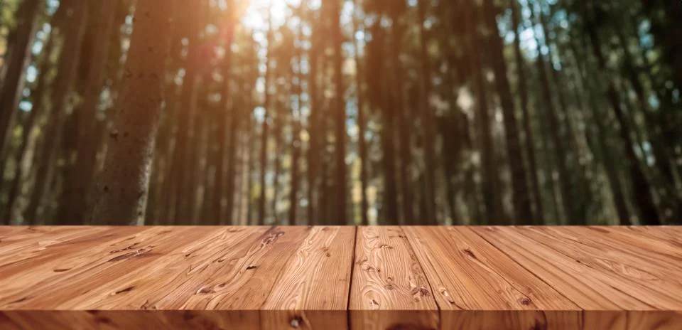 Blur deep forest pine black wood in high mountain with blank wooden board f.. Stock Photos