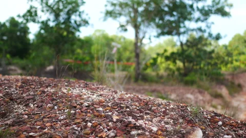 Blur defocus of cyclist ride mountain bike in forest for healthy and leisure  Stock Footage 131344787