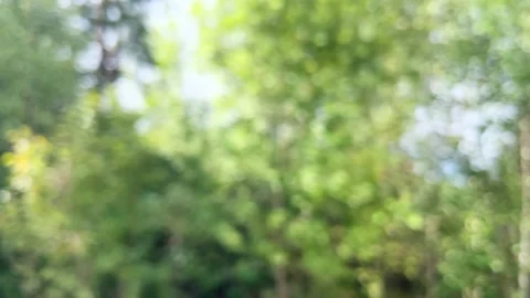 Blur defocused view through side window of auto in motion on road. Stock Footage 211318953