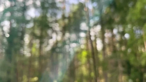 Blur defocused view through window of auto in motion on road. Stock Footage 211319270