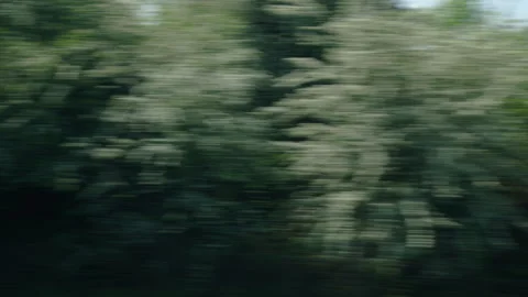 A blur of fast moving trees as seen from a window of a moving vehicle Vidéo 254224999