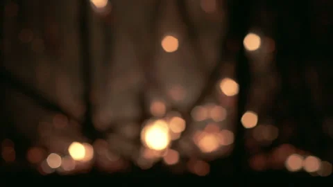 Blur Fire, House On Fire Stock Footage 98865903