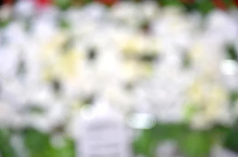 Blur flower background Stock Photos