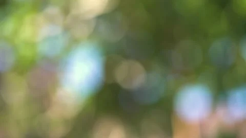 Blur gold background waving in wind. Stock Footage 229831585