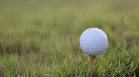 Blur golf in grass, video Stock Footage 45899651