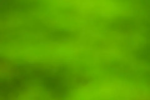 Blur green background Stock Illustration