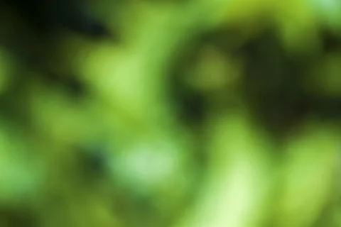 Blur green background Stock Illustration